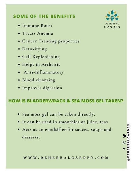 Bladderwrack Sea Moss Gel