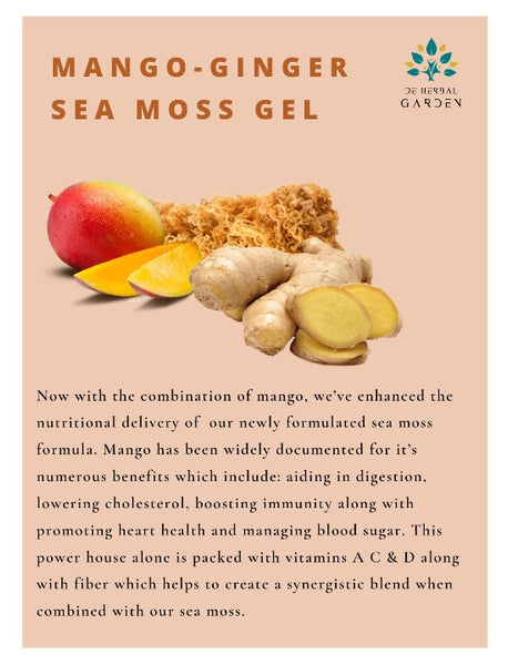Mango Ginger Sea Moss Gel