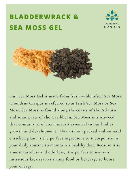 Bladderwrack Sea Moss Gel